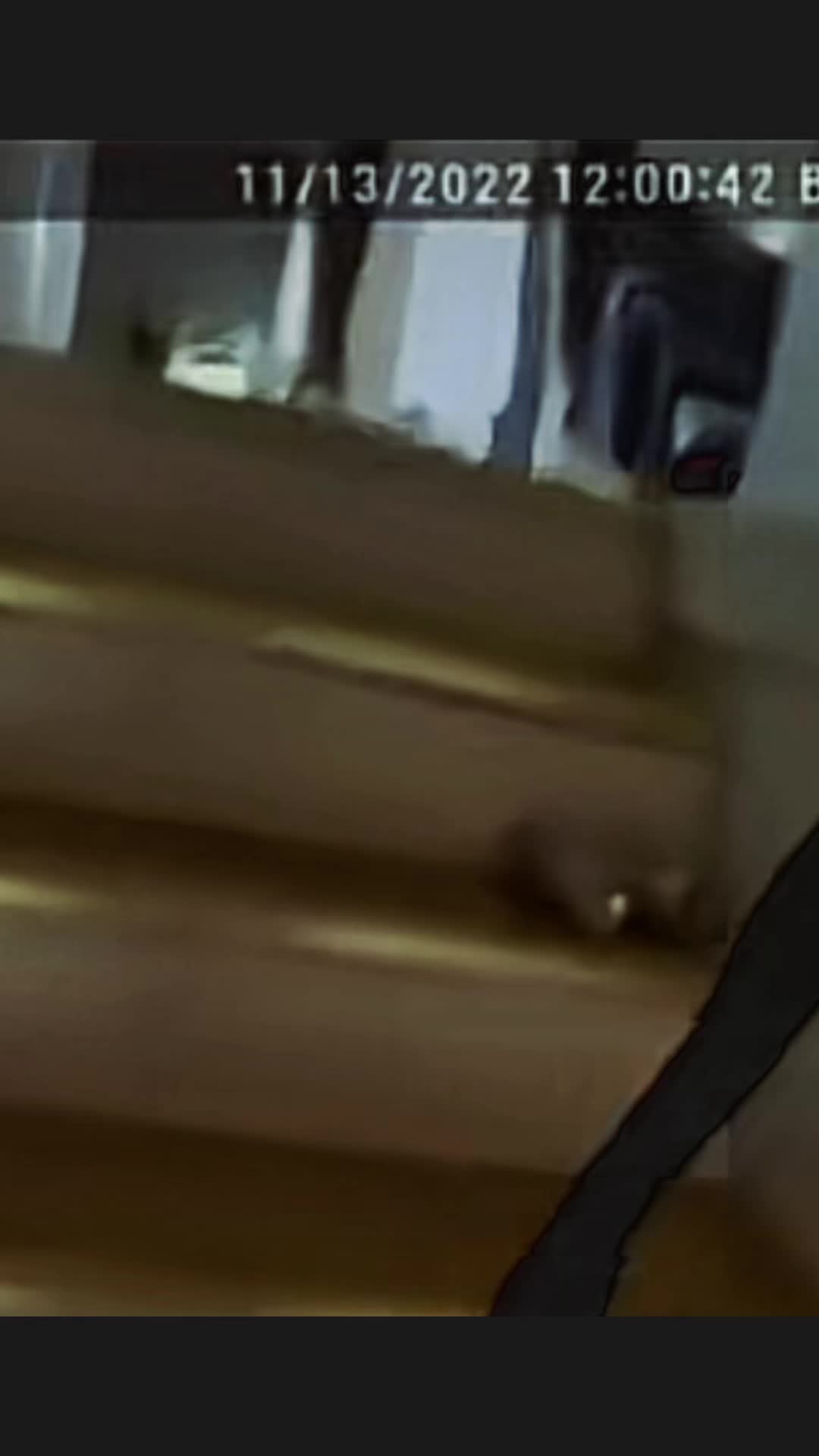 @𝔯&alpha;𝐞༻