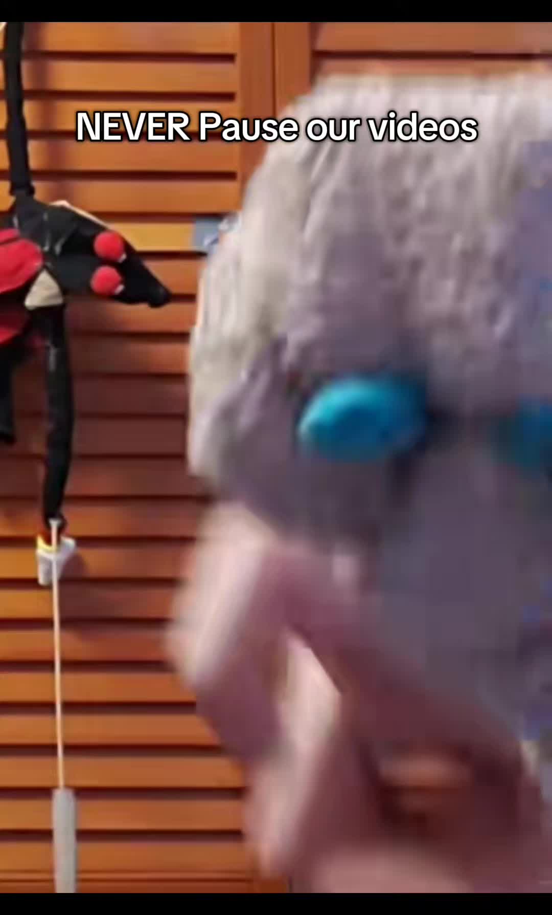 @the3puppet33rs