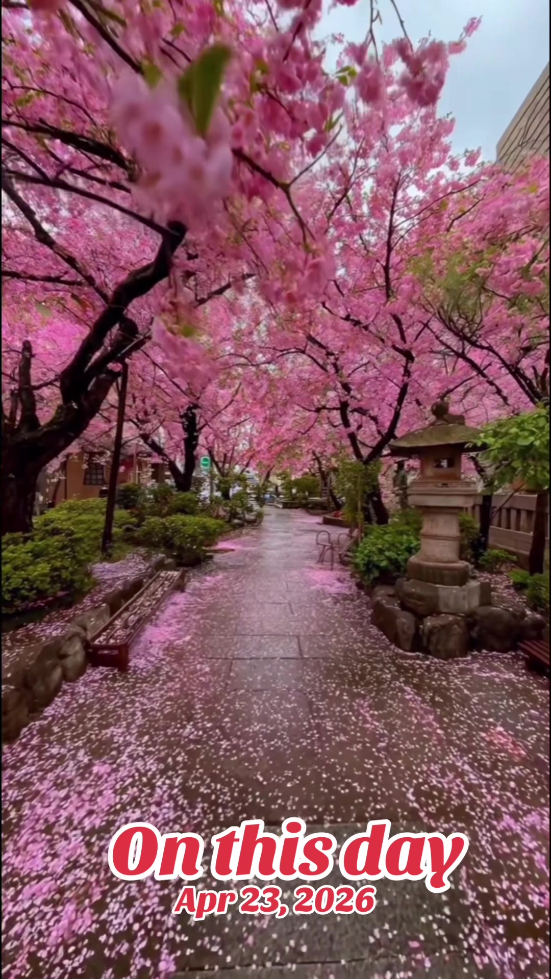 @Sagar_Luitel