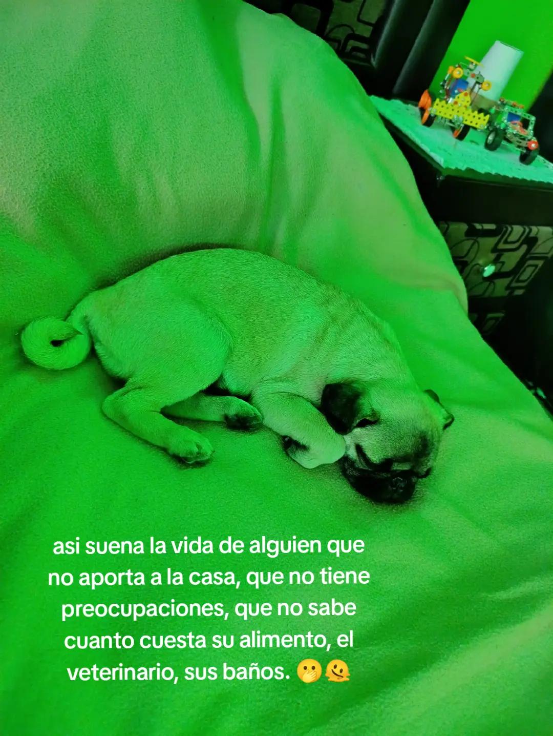 @✨Viri✨
