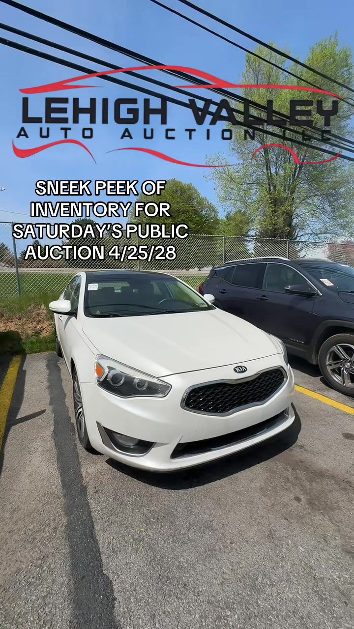 @Lehigh Valley Auto Auction