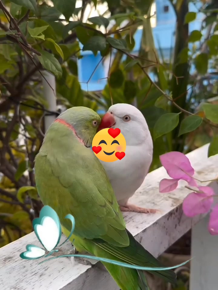 @Ali ❤️786#55