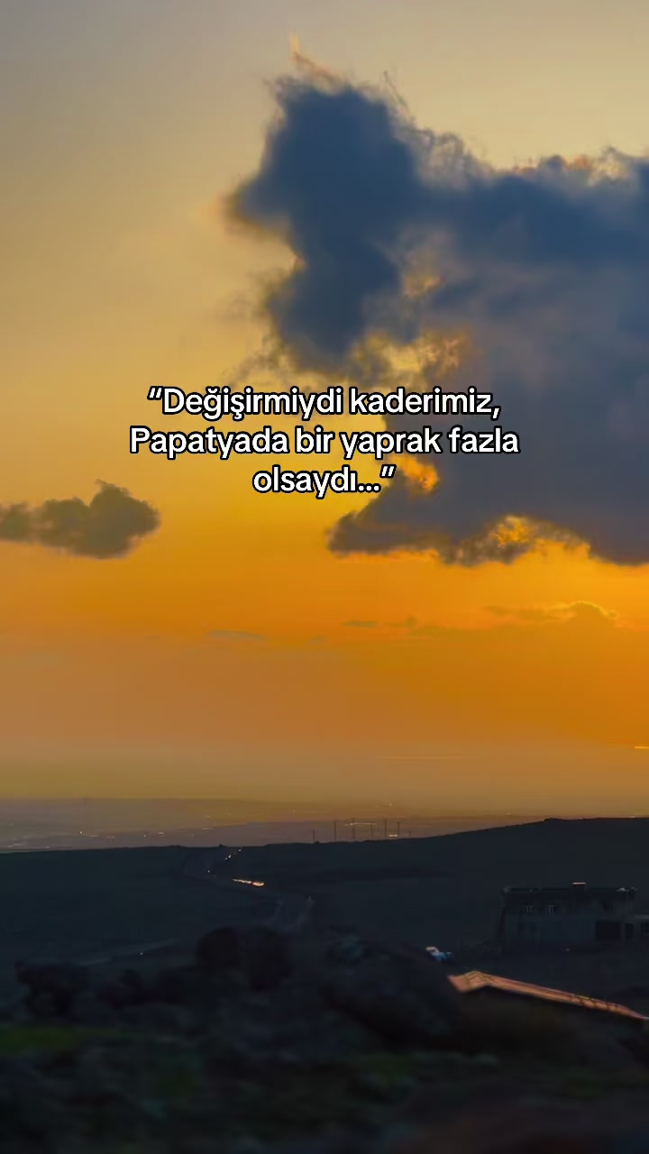 @𝘚𝘵𝘰𝘳𝘺 𝘚𝘢𝘺𝘧𝘢𝘮💫