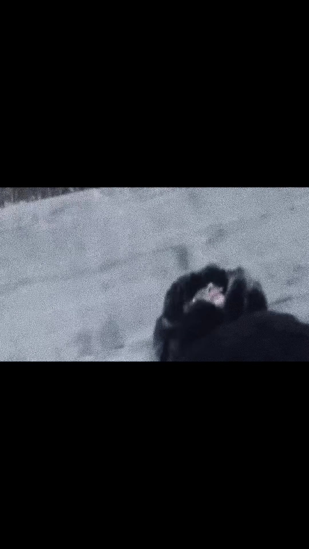 @ﾚひﾒ🐾🎚️