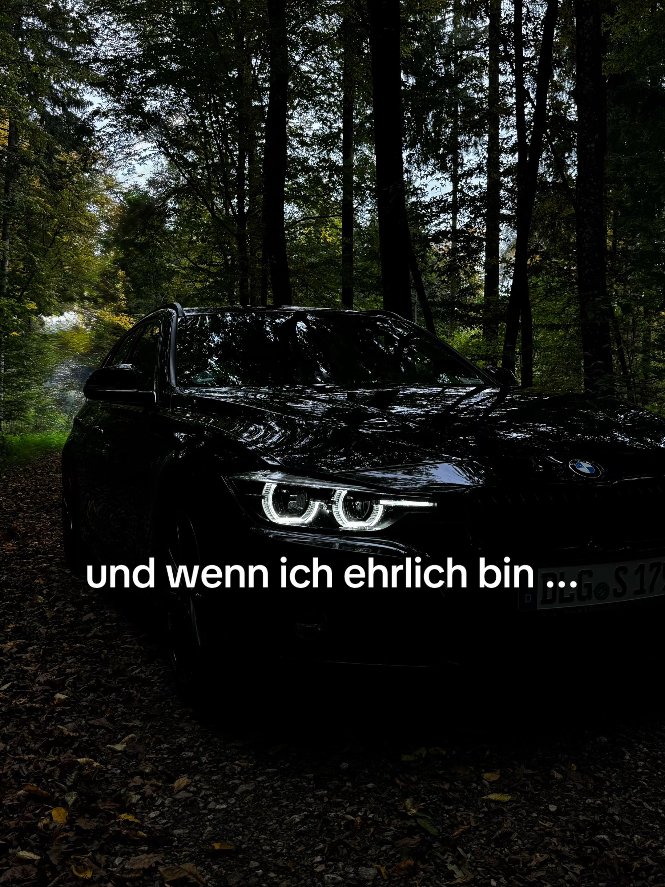 @Steppo XD