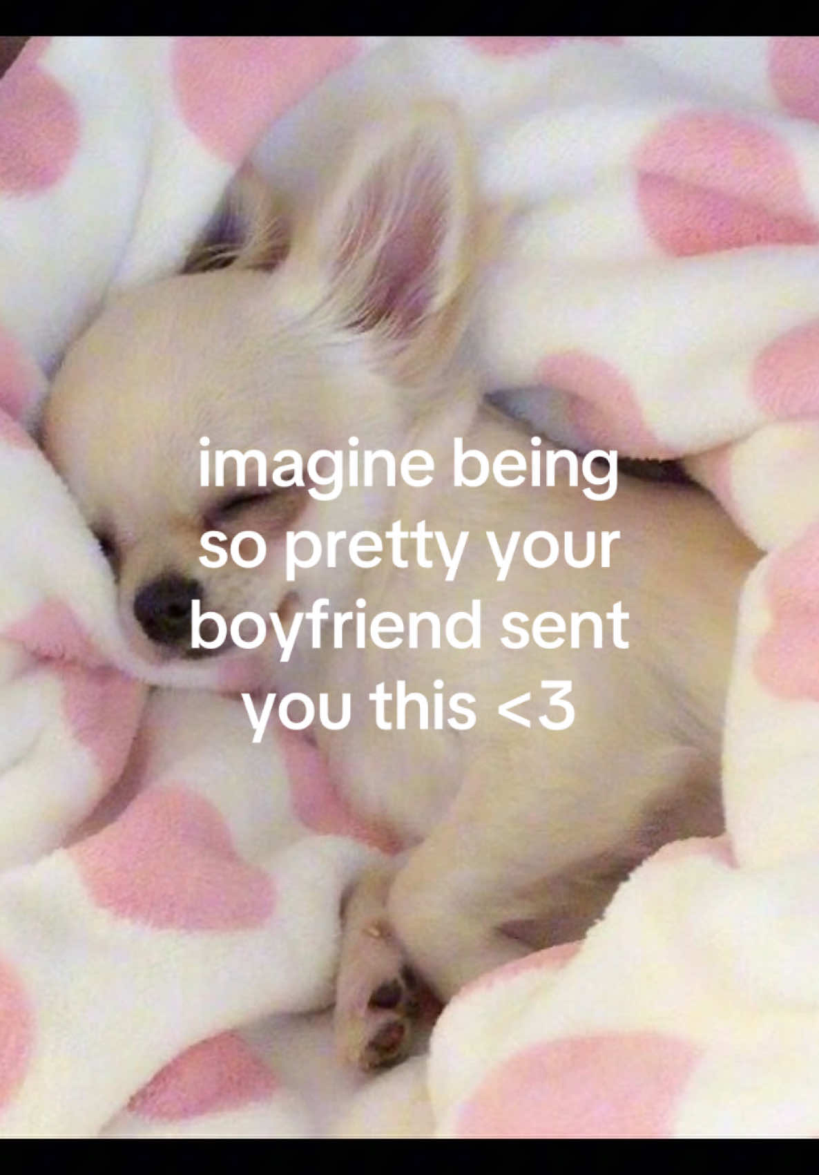 @iseenthisinmydream