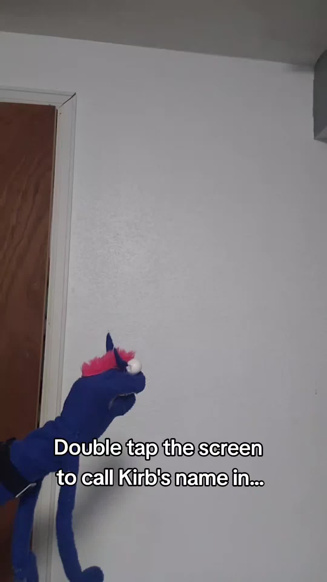 @the3puppet33rs