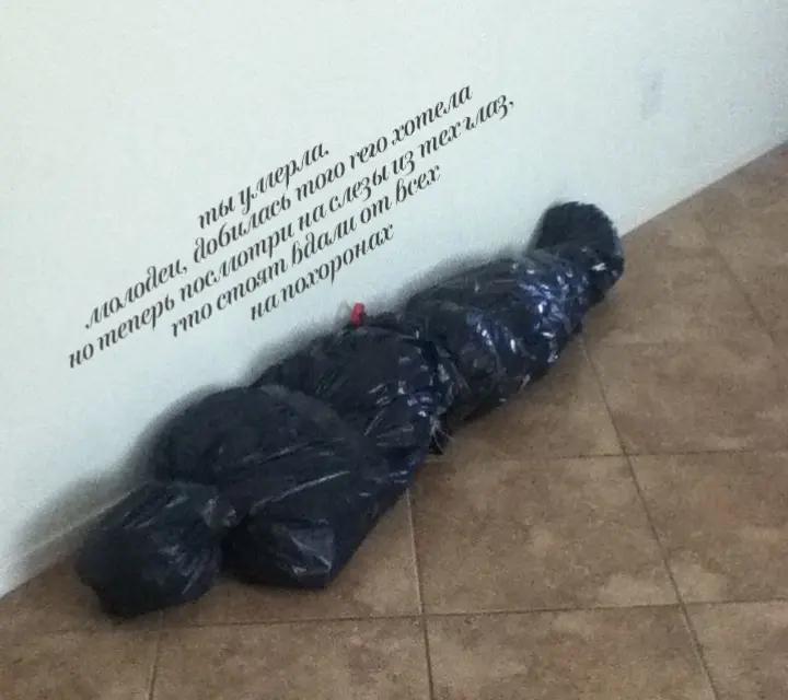 @аришкакриптомышка20010