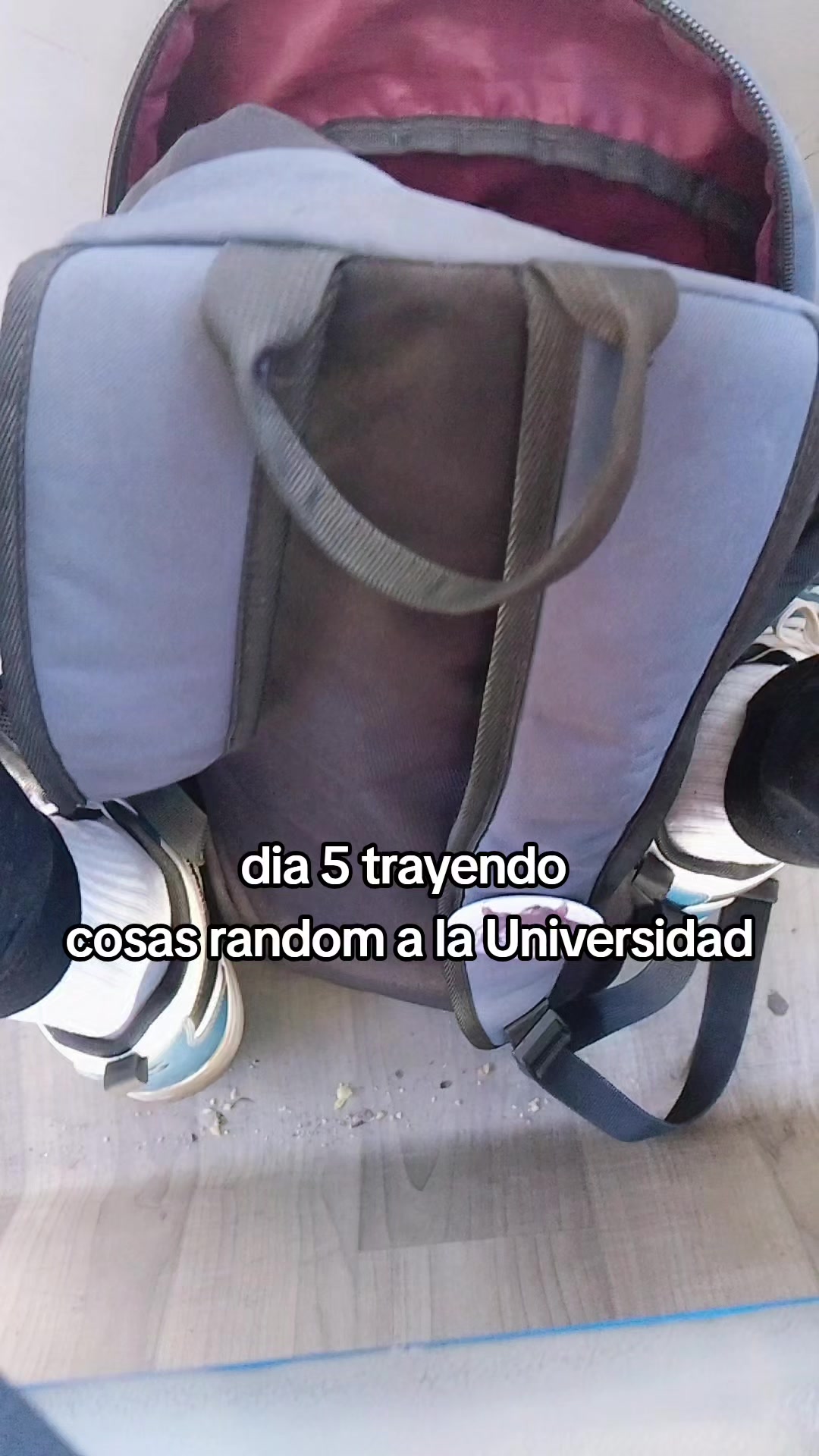 @Tokai.teio🇨🇱❤⛎
