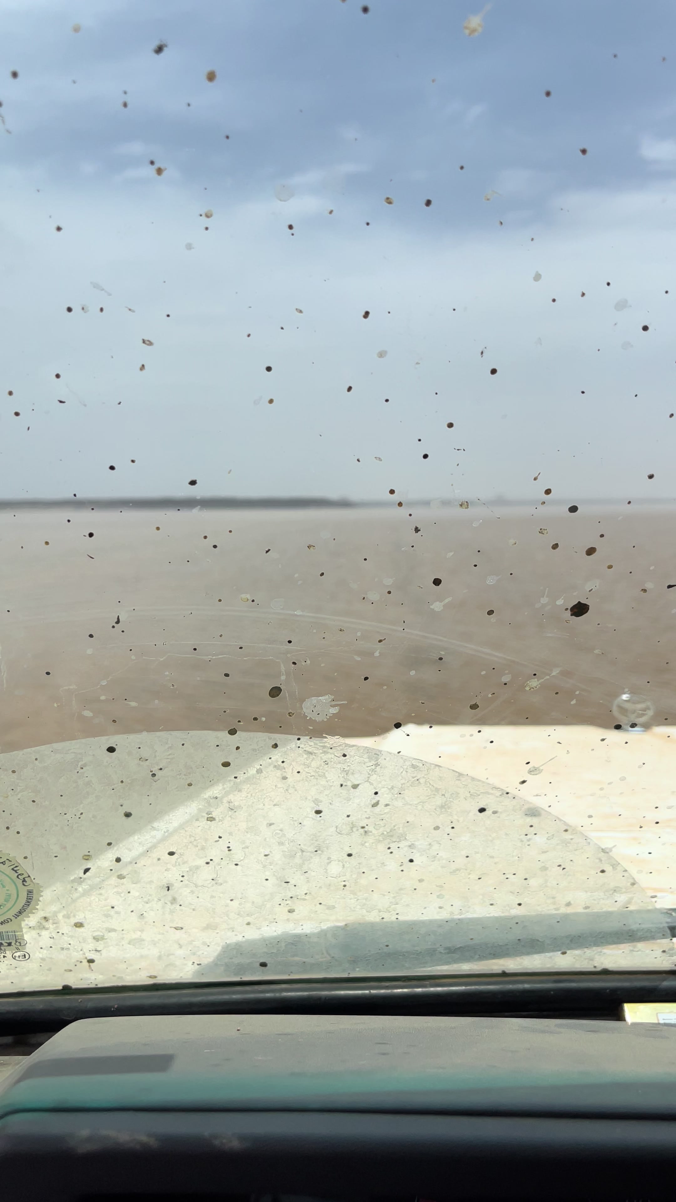 @زيـزـوالمطيري
