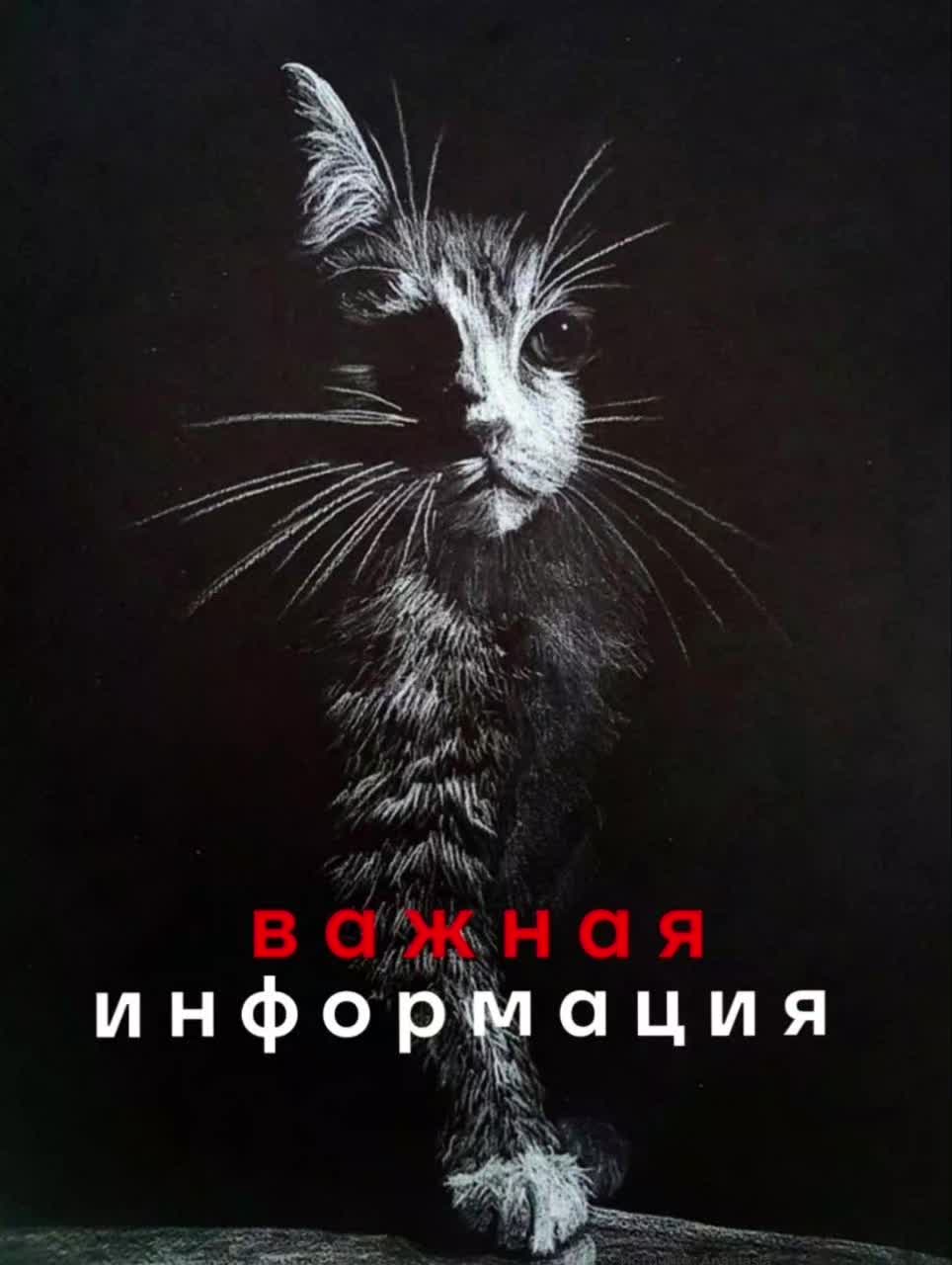 @Julia/Арсения!!