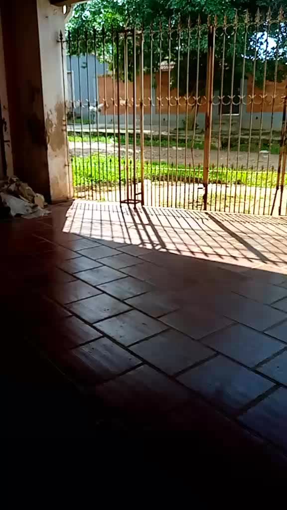 @flogao_san_lorenzo