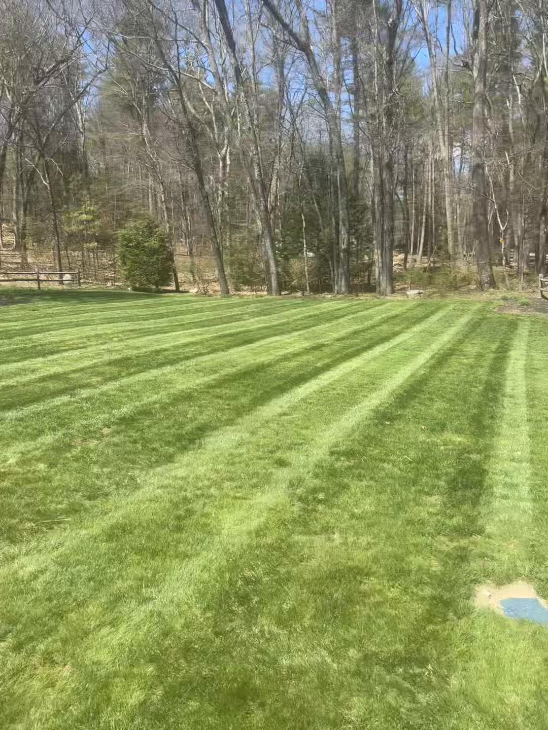 @Prestige landscaping ☘️🍃