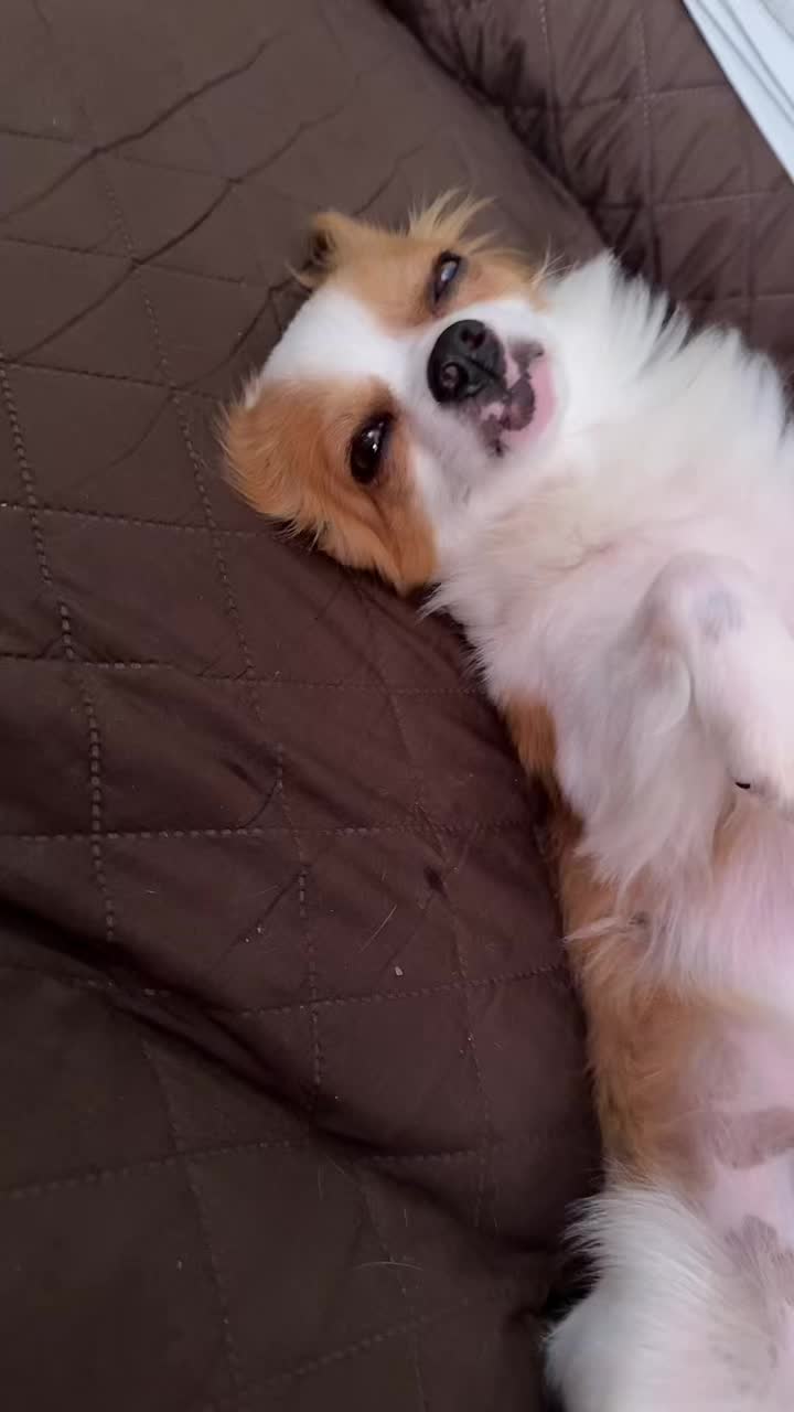 @Michela 🐕