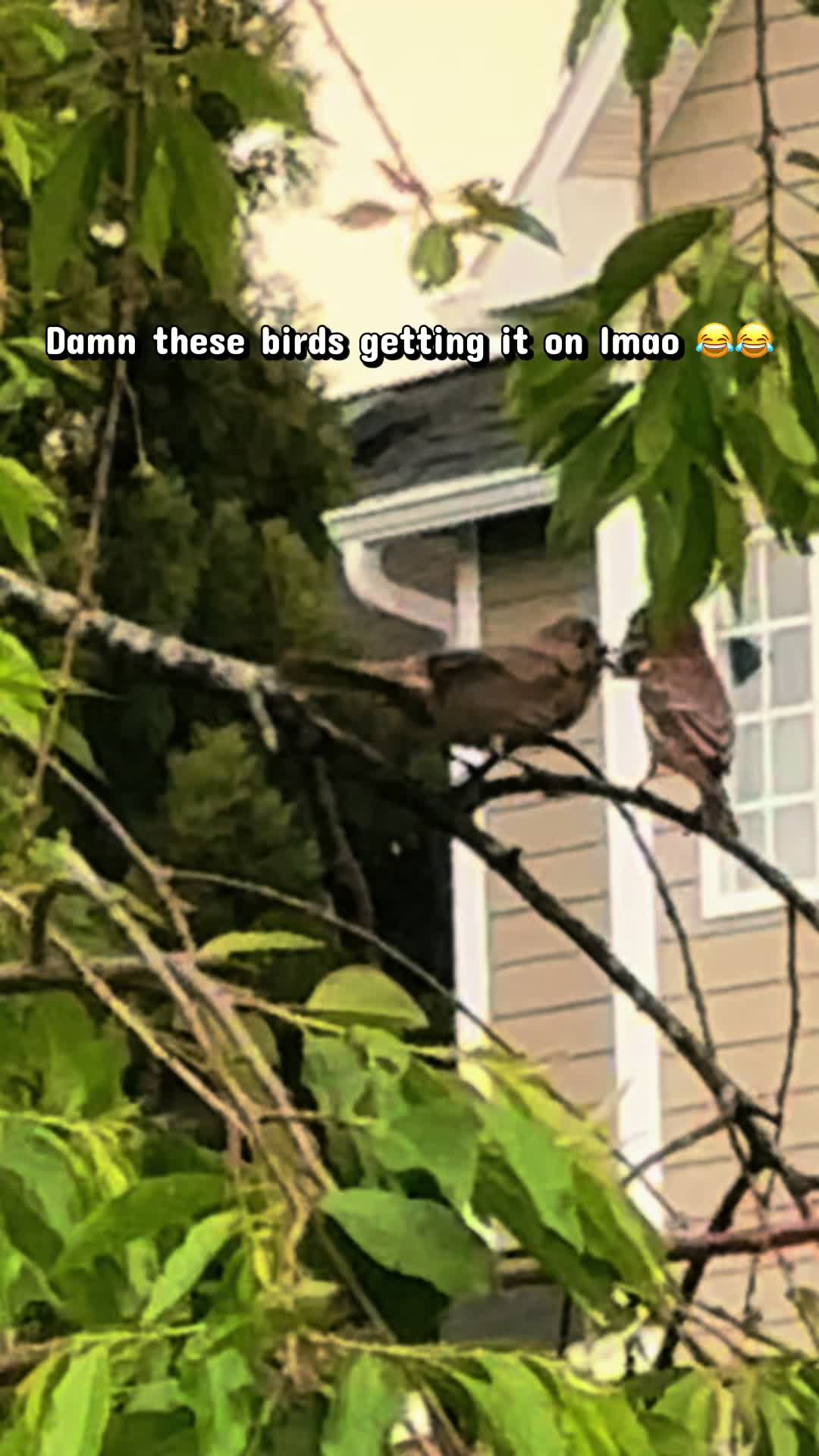 @jake1321