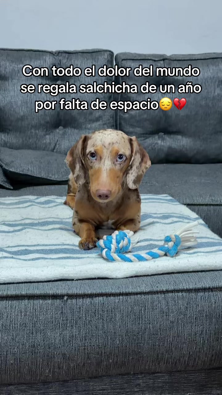 @Mariana Guillen