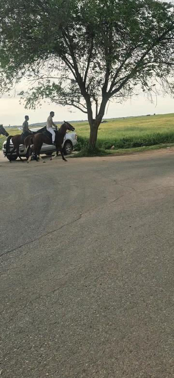 @ЮЛИЯ СЕРГЕЕВНА
