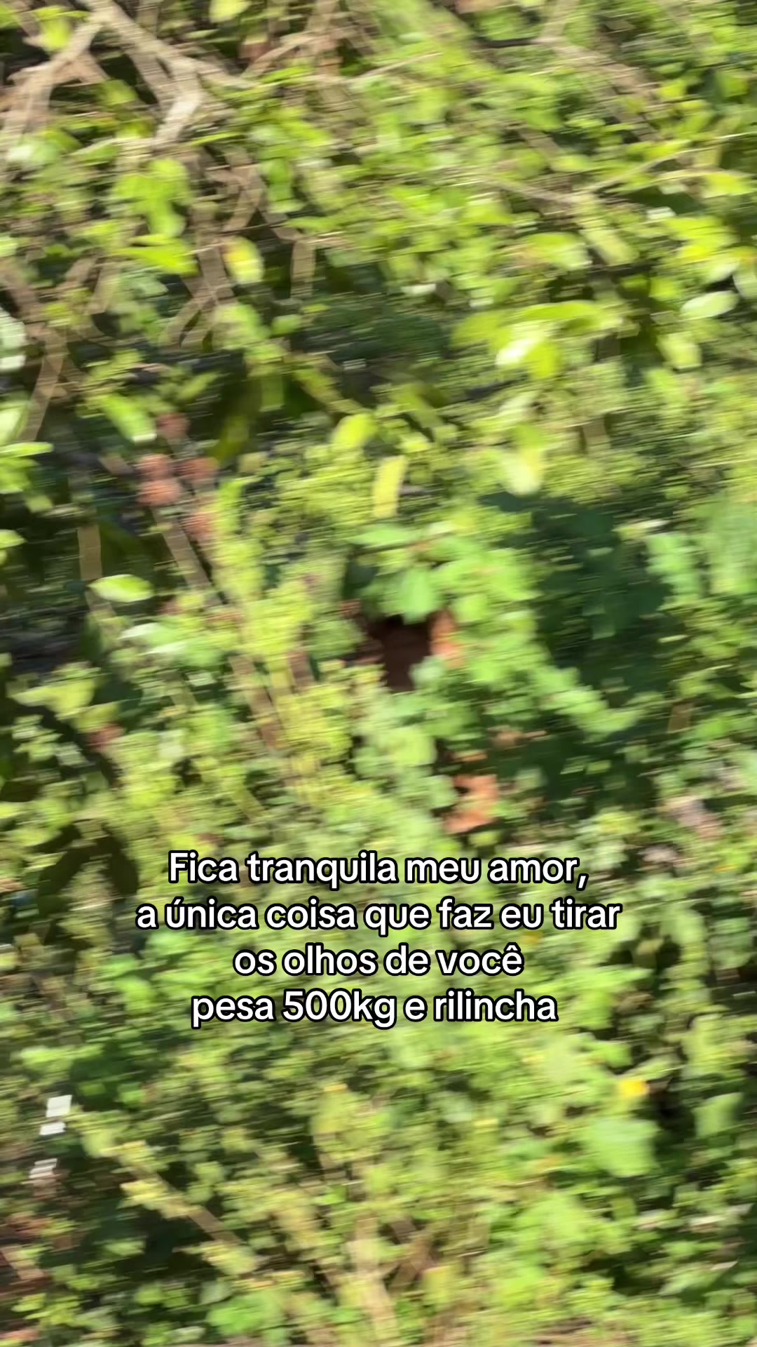 @Lucas Brito