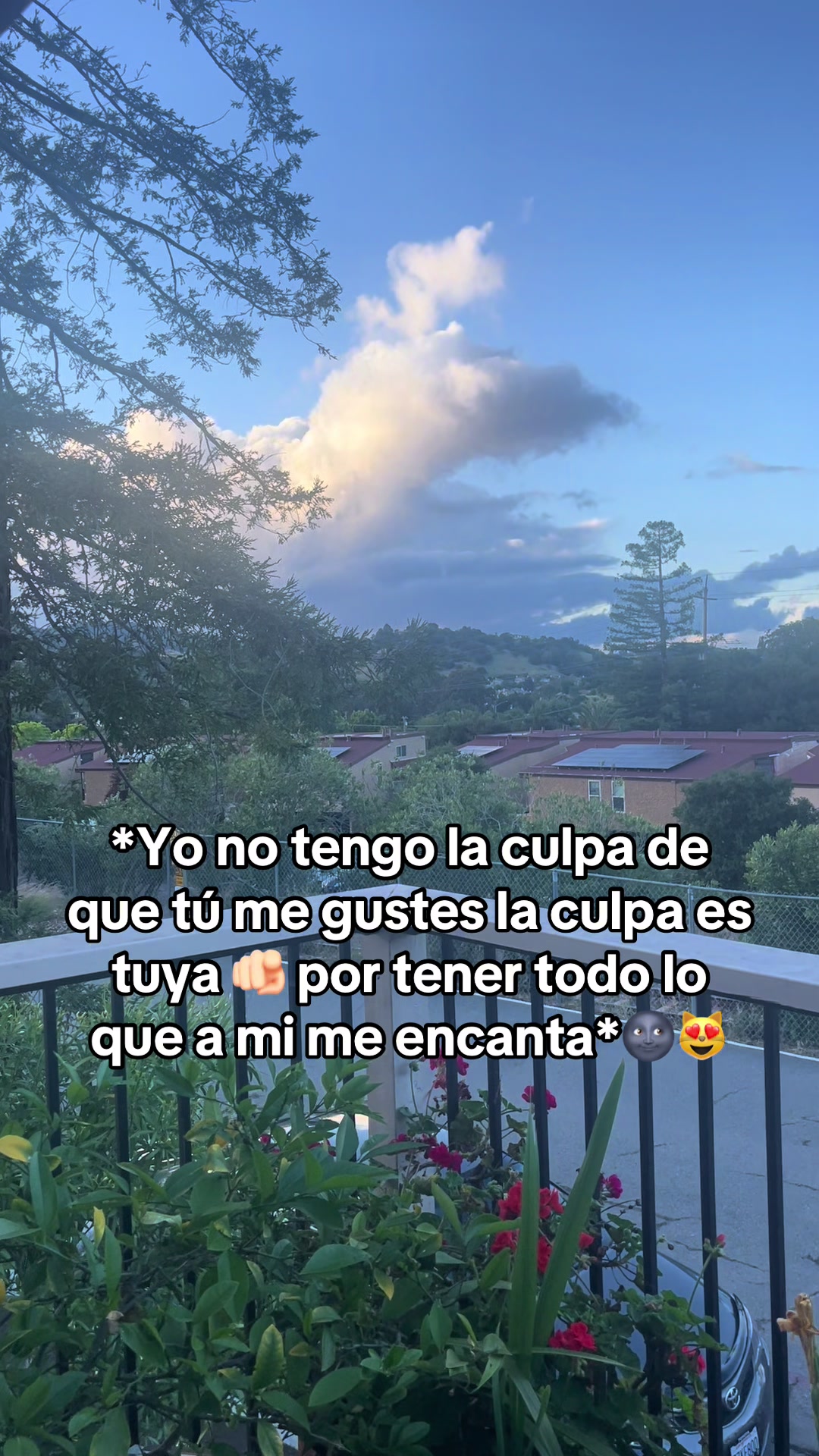 @Lleg&oacute; el Benja 😎