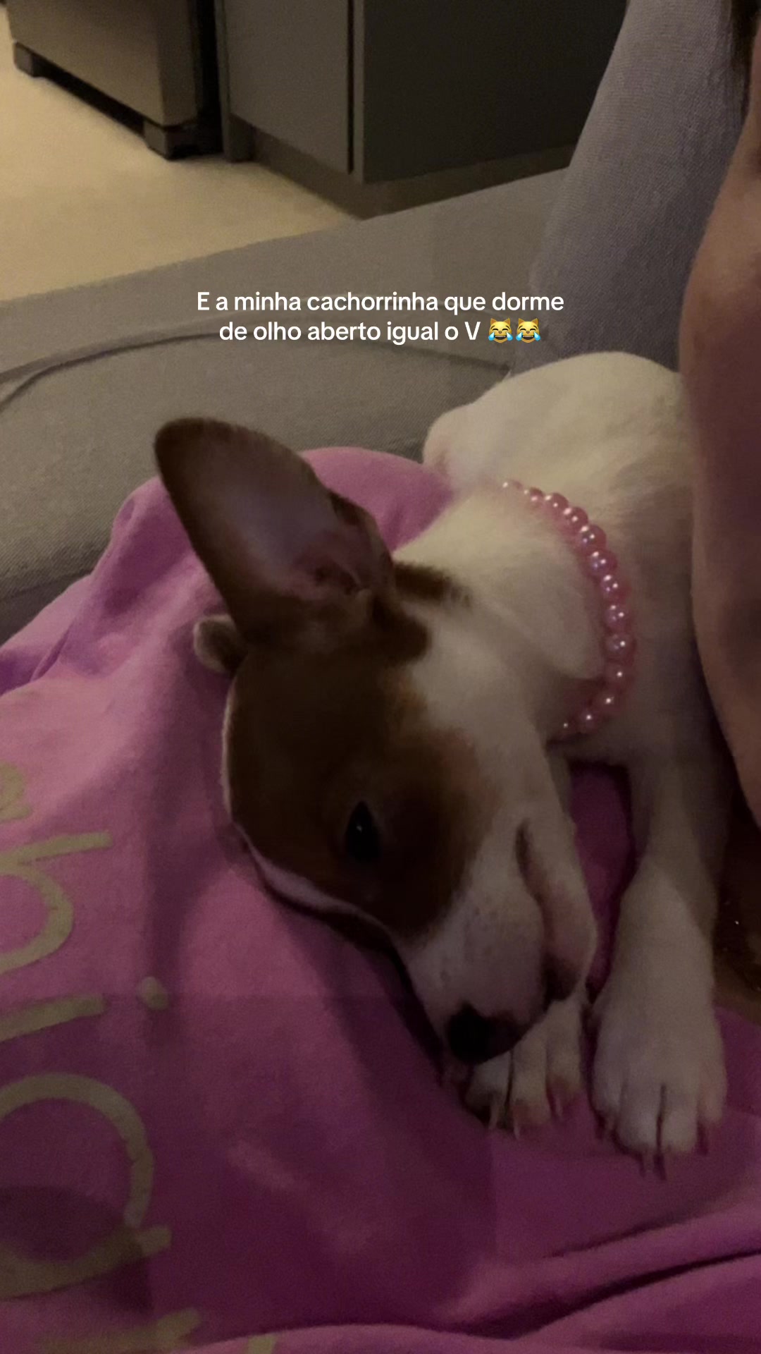@AJA | VAI VER O BTS ❤️