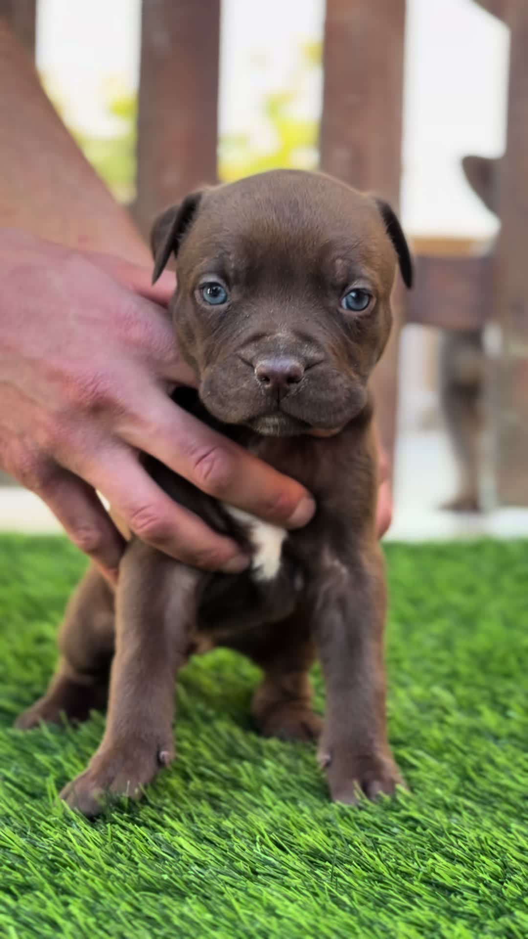 @RedForcePitbull