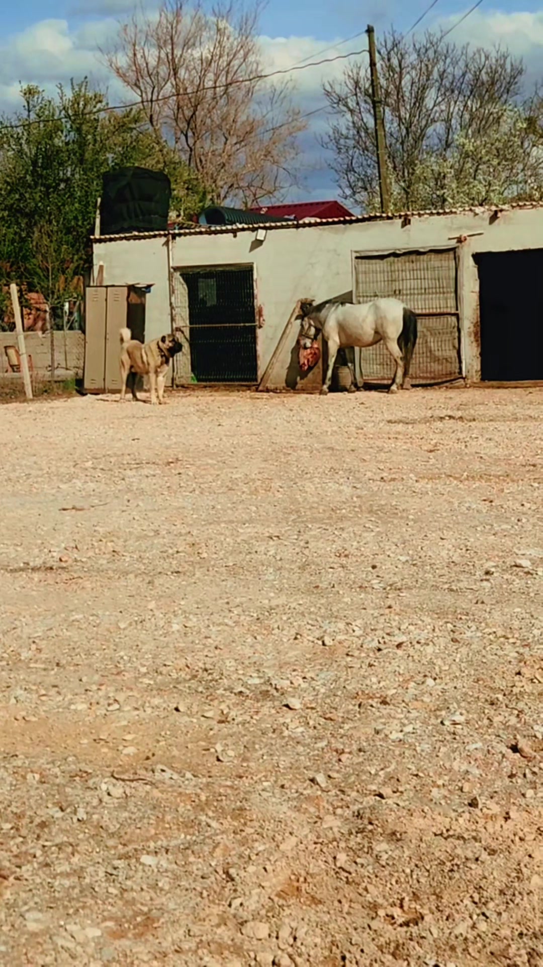 @&Ouml;zkan Kaya