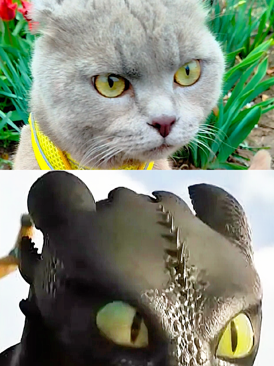 @🐈Масик&Андрей🥰
