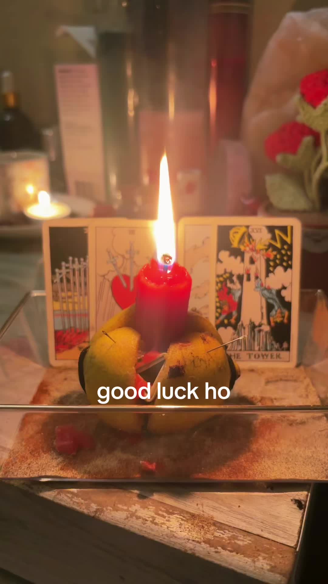 @thattarotbitchh