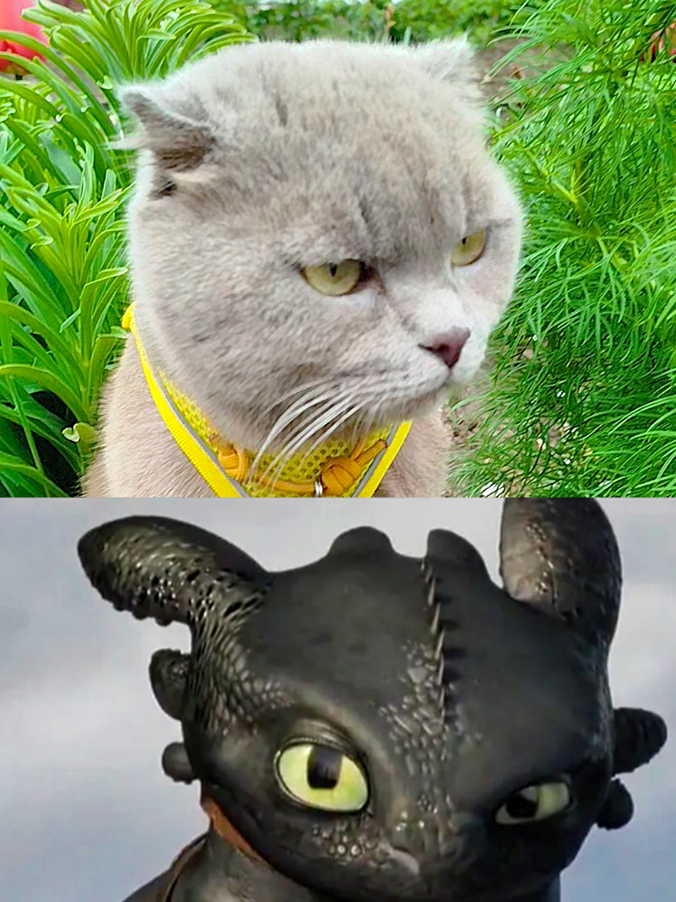 @🐈Масик&Андрей🥰