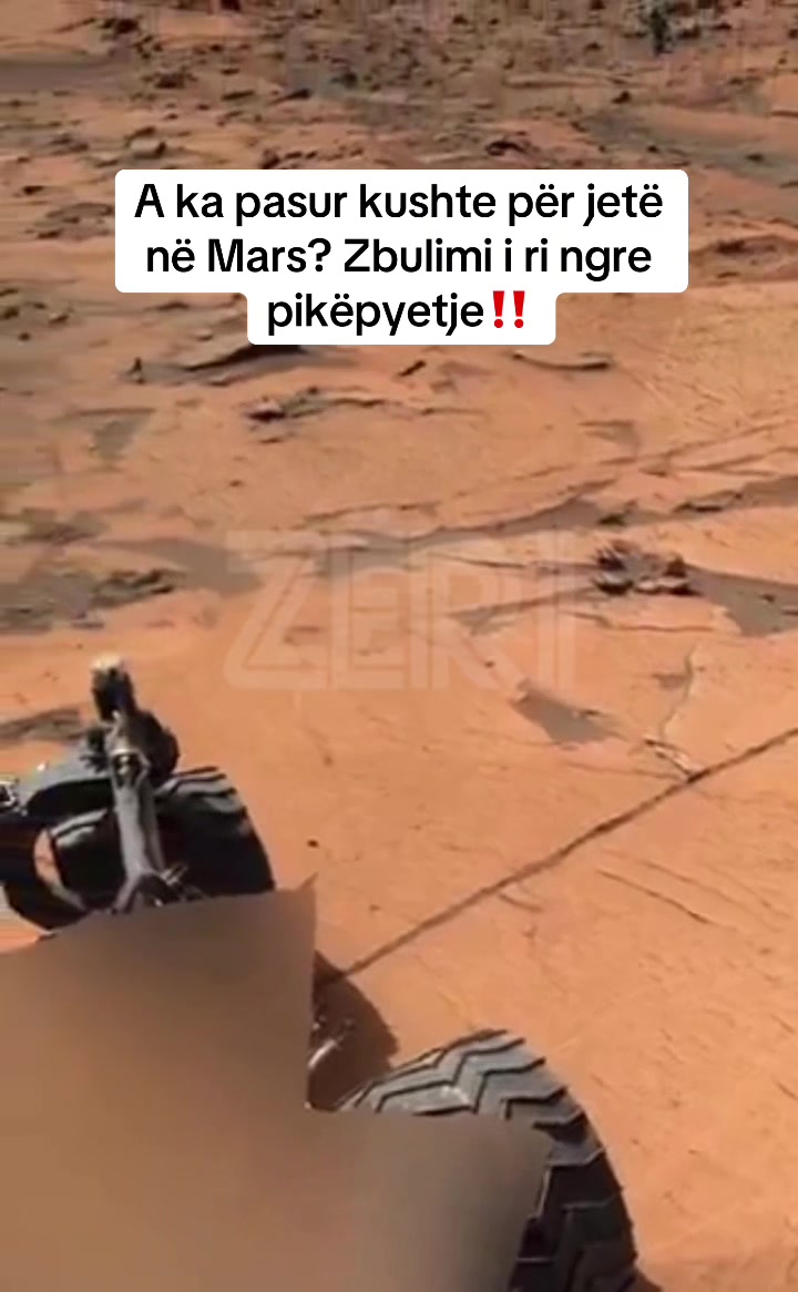 @Z&Euml;RI