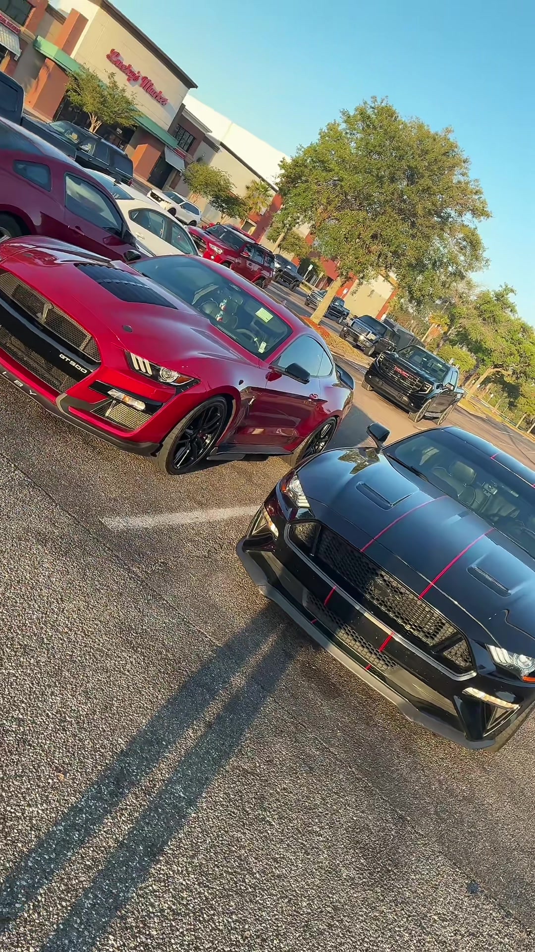 @UcfManic