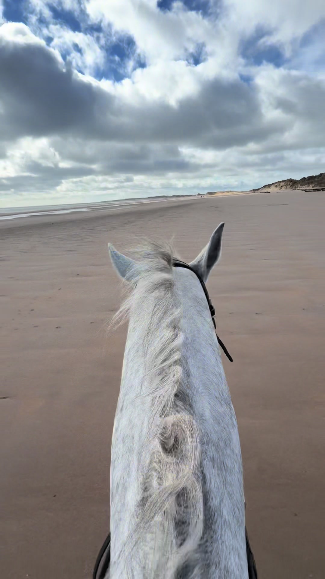 @Attempting to ride❤️
