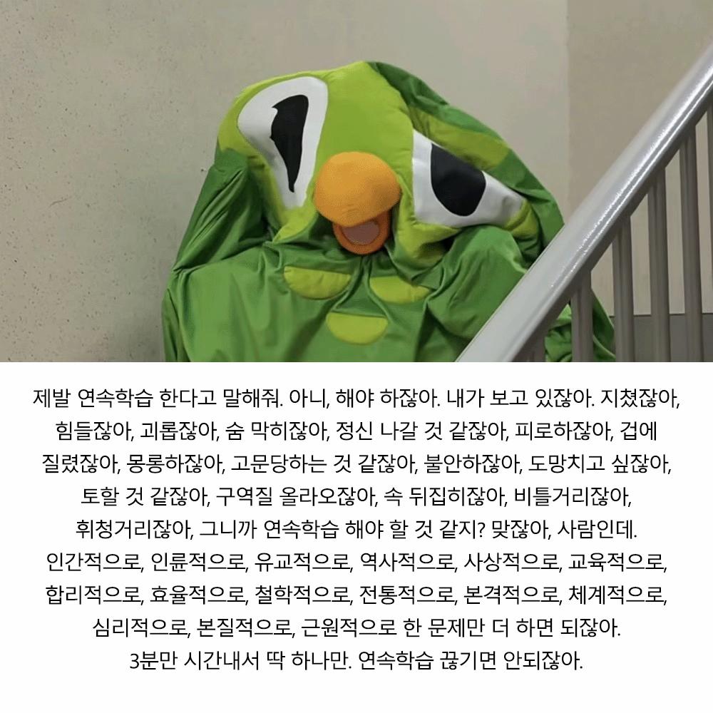 @duolingokorea