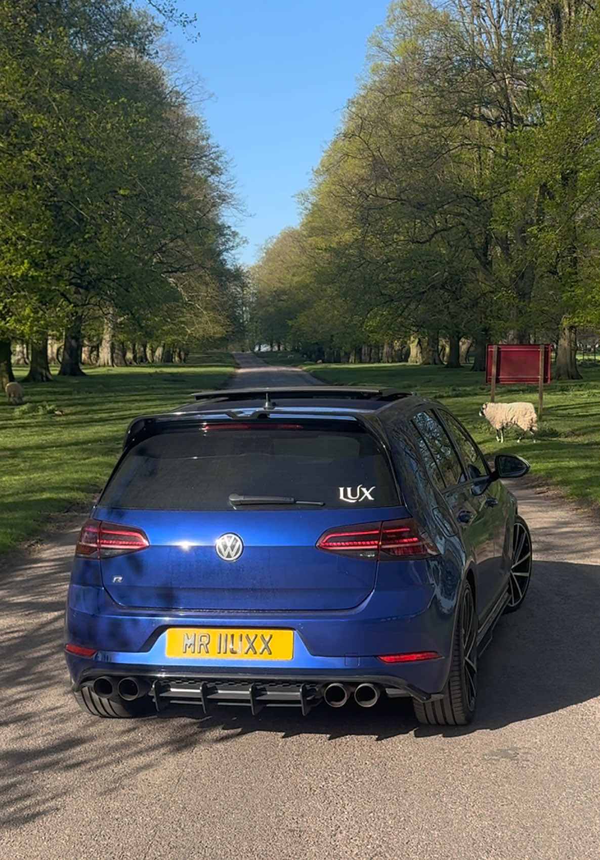 @MrLux