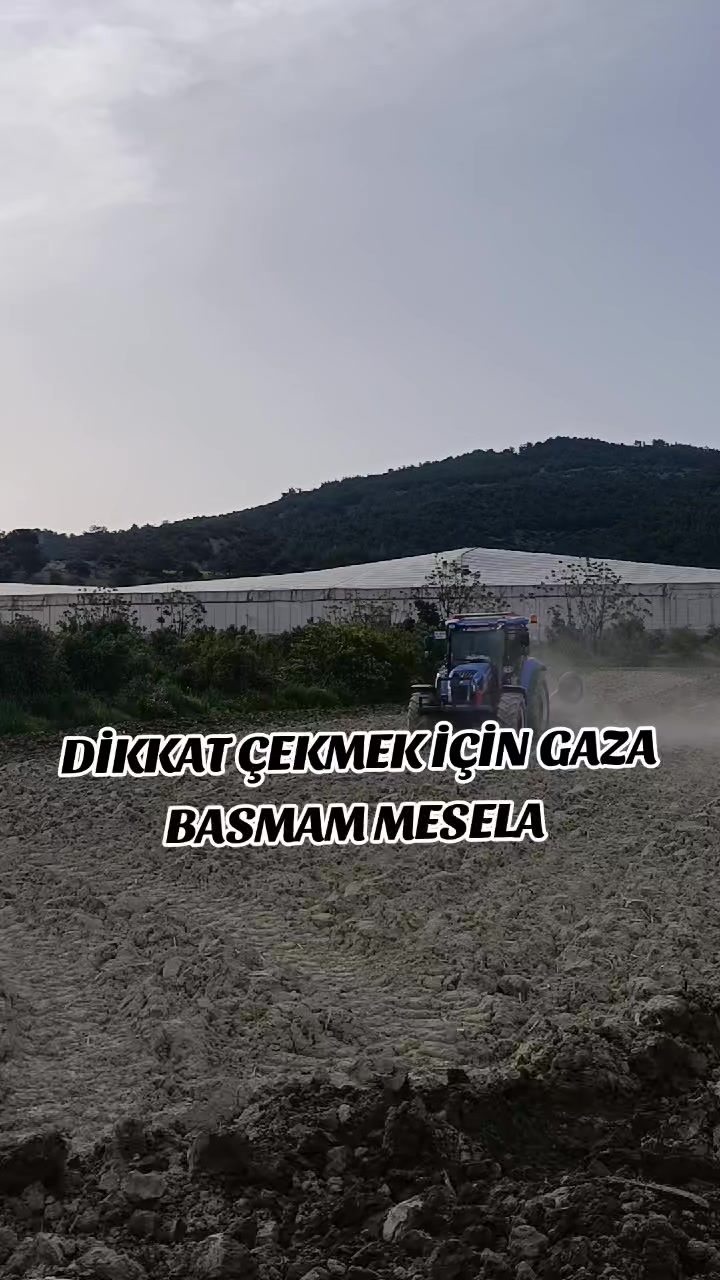 @Danyel G&uuml;ler ☑️