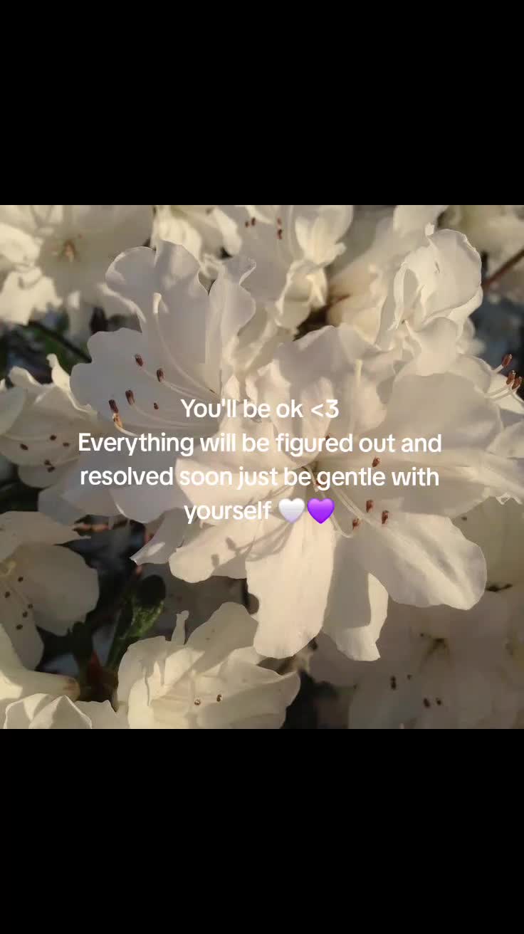 @*   ੈ✩‧₊˚*𝐴𝑥𝑒𝑙*   ੈ✩‧₊˚*