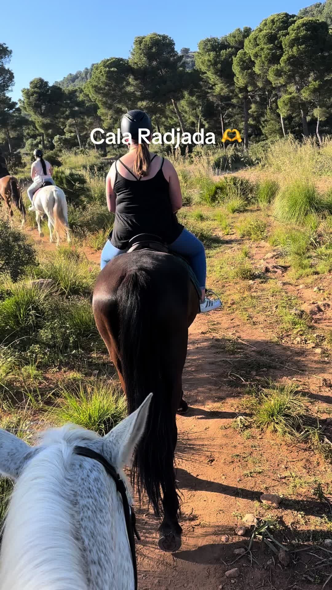 @reikihealingoase