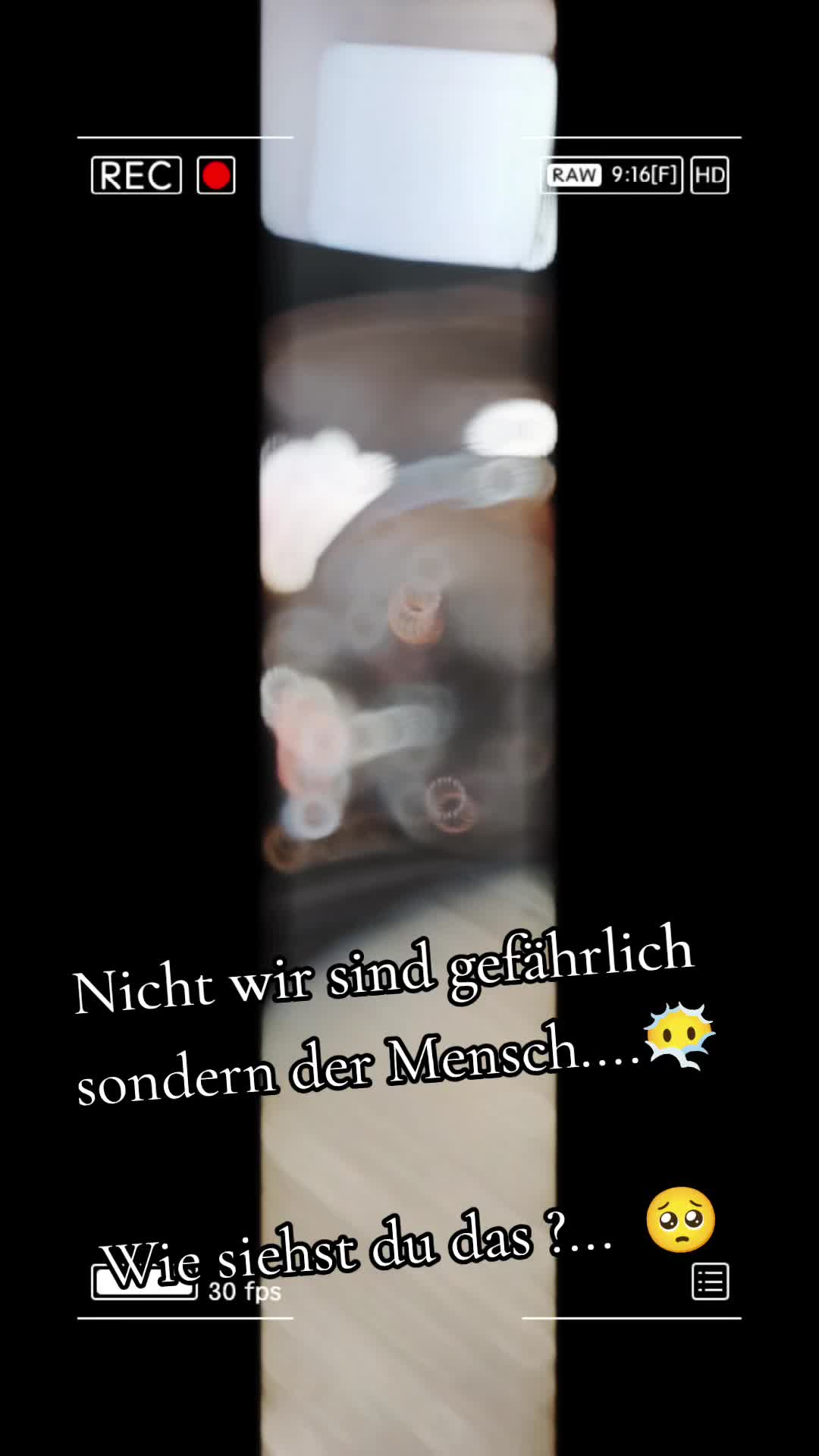 @Kampfschmusser_Nero🖤