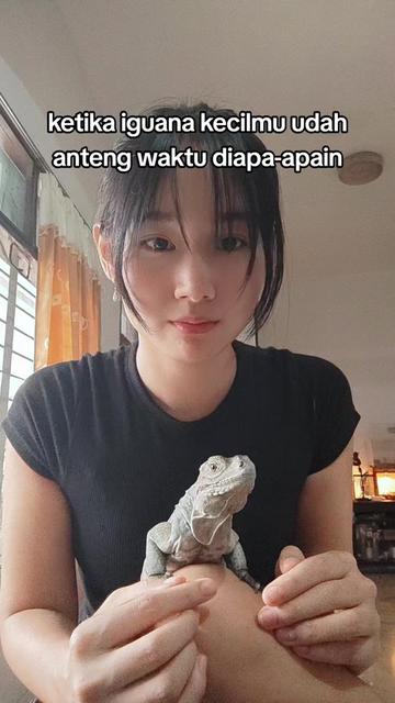@gobi.and.eli