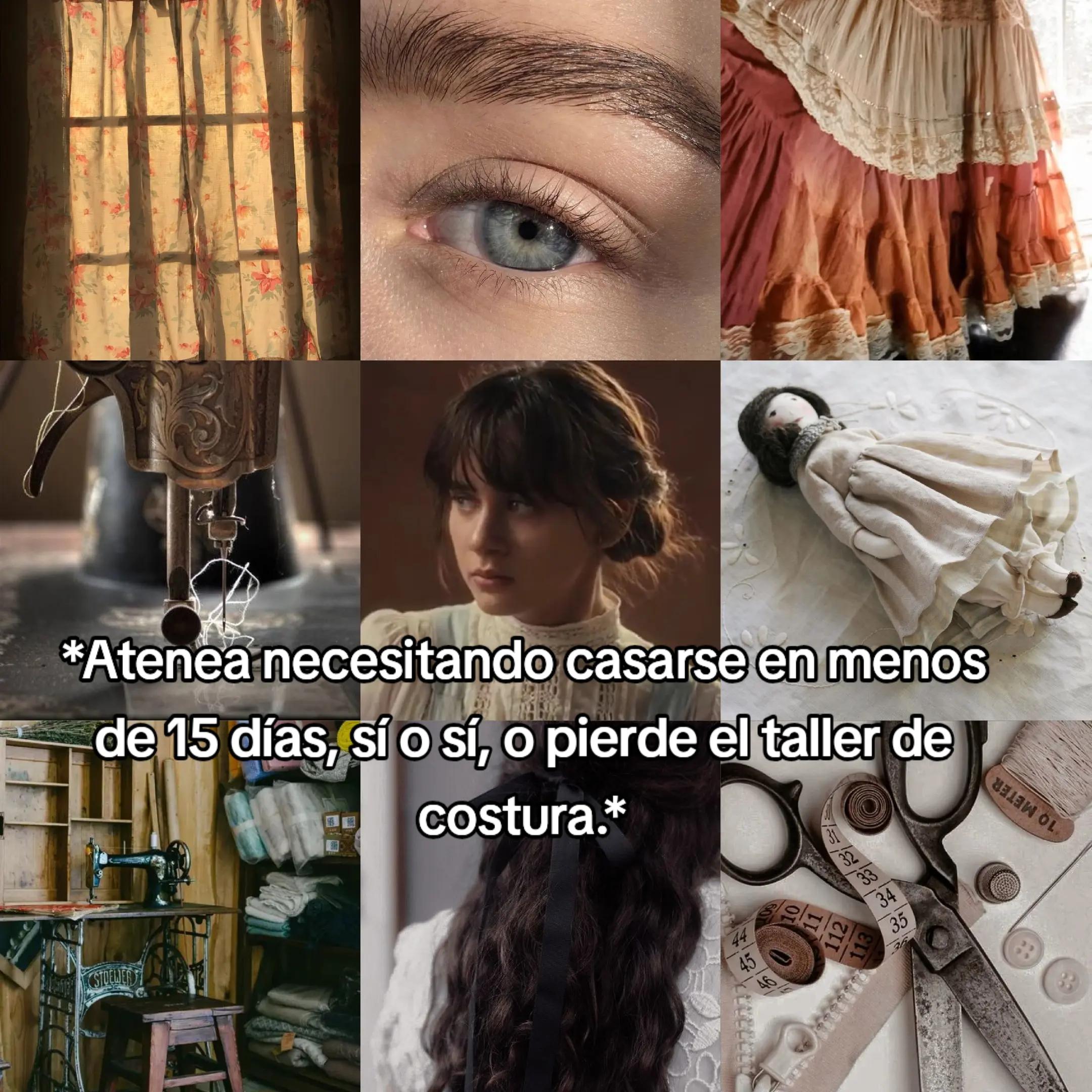 @Angie Snow 📚🌹