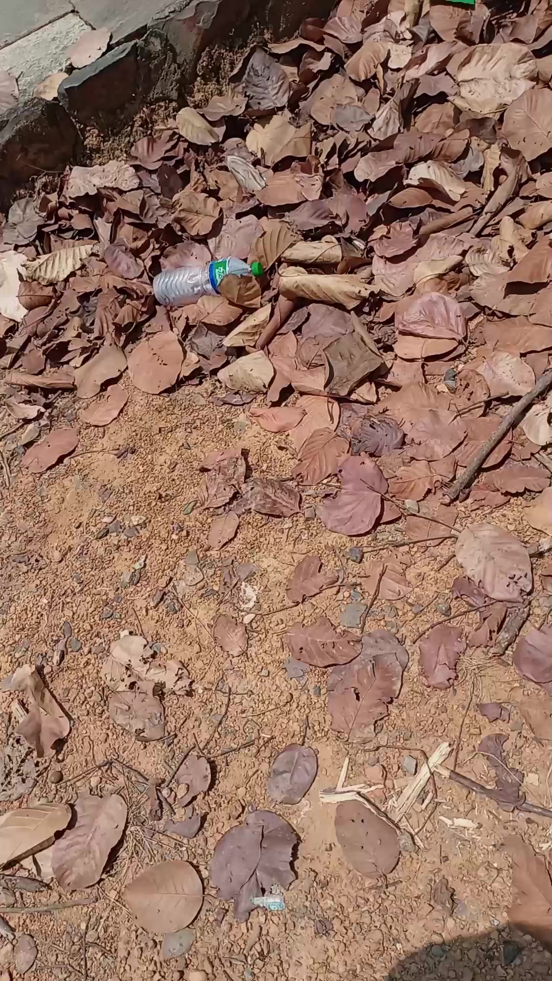 @🇳🇵नेपाली गाउँ बस्ती🌹