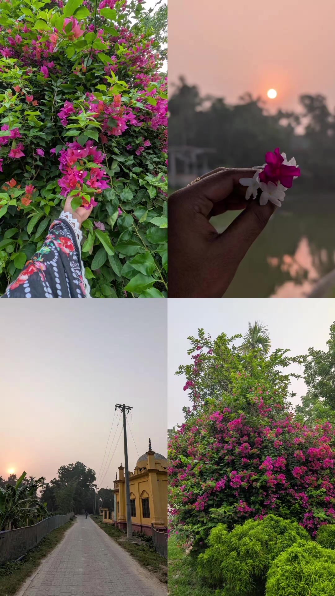 @Arisha Vlogs 🤍✨