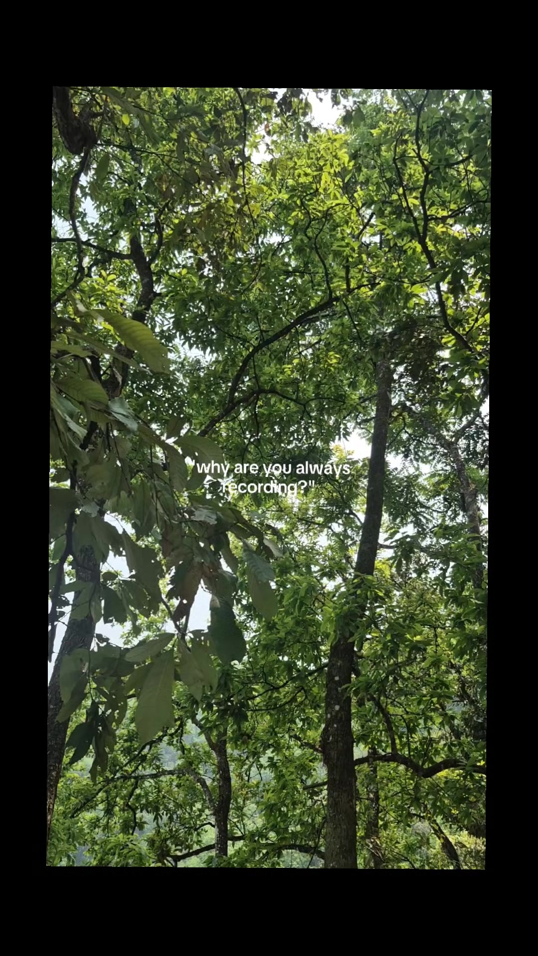 @Bजेता.. Chaulagai🦚