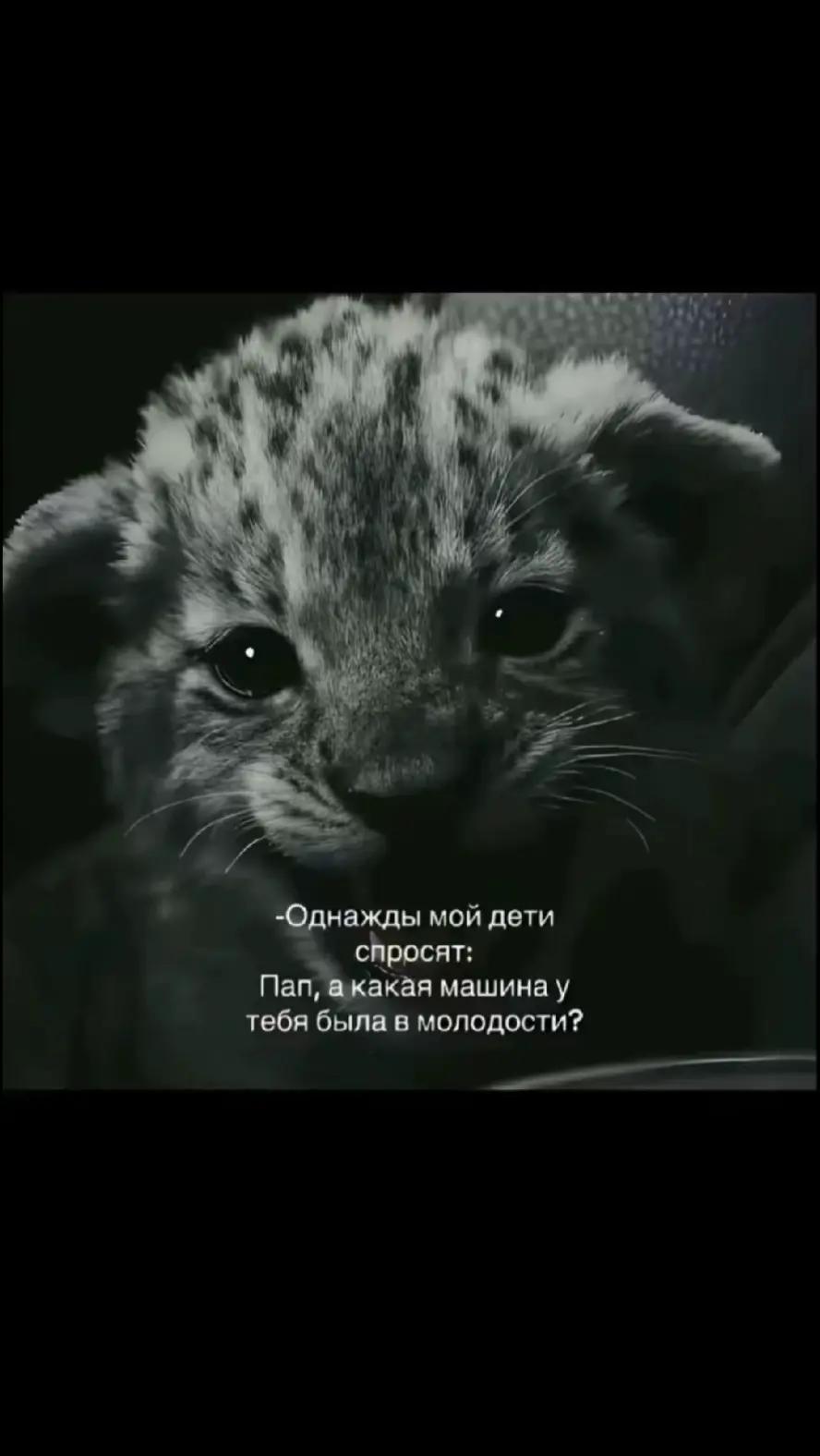 @Ярик Коваленко