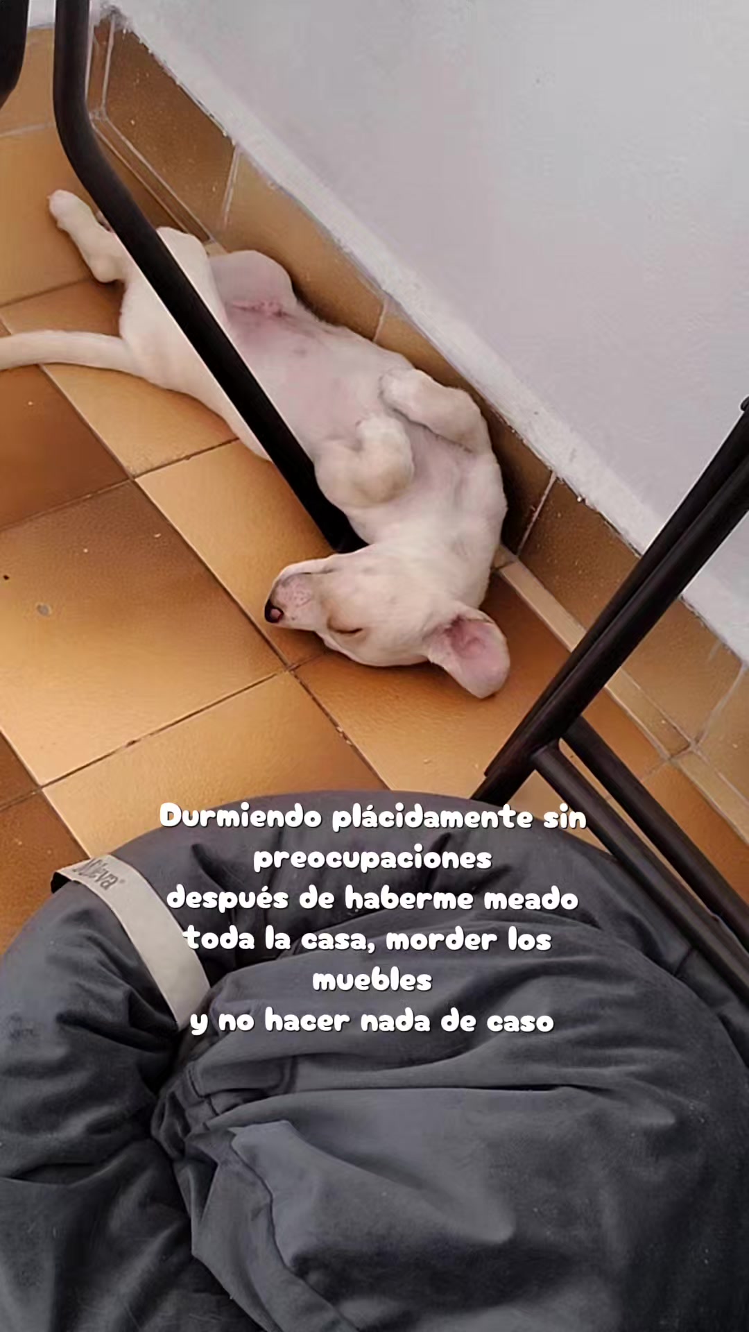 @VaneMoli