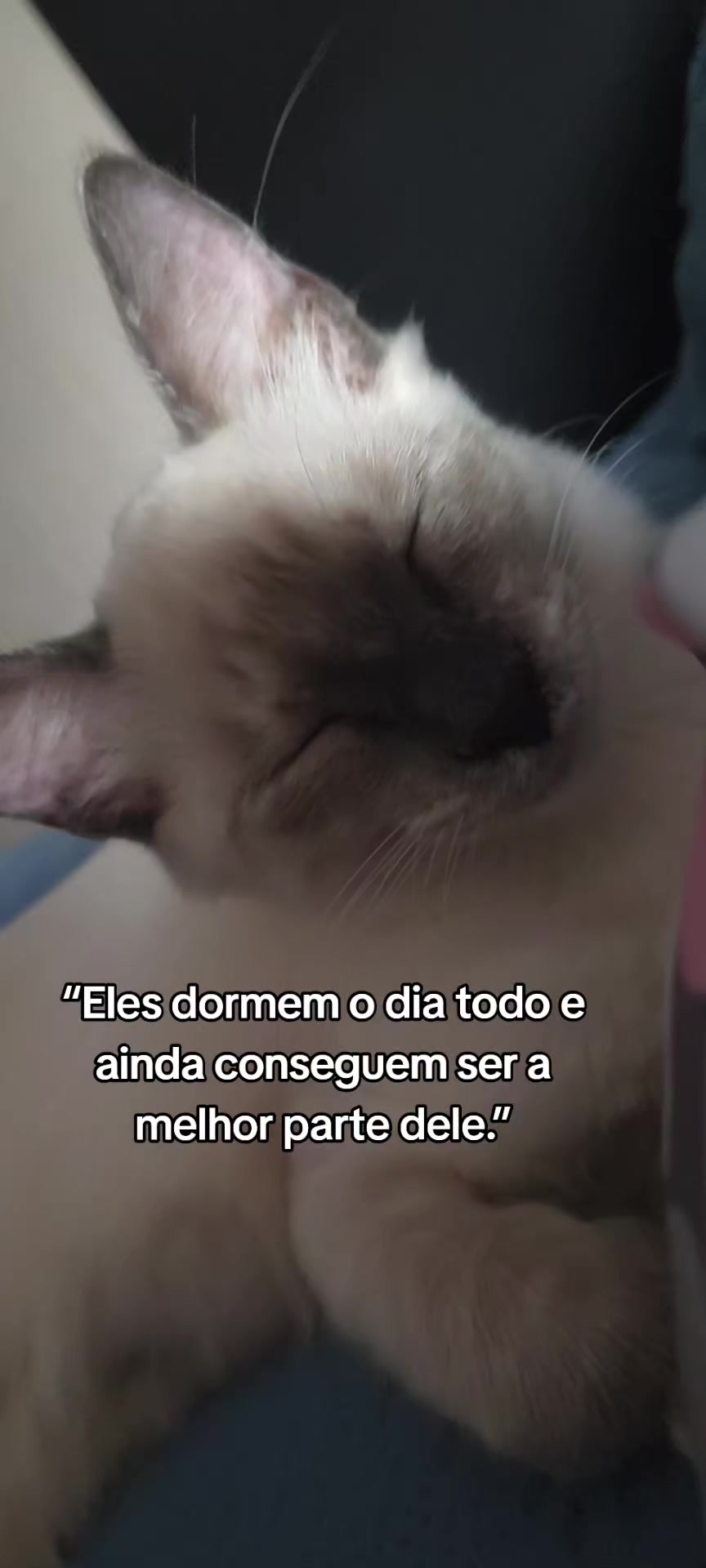 @taty_2803