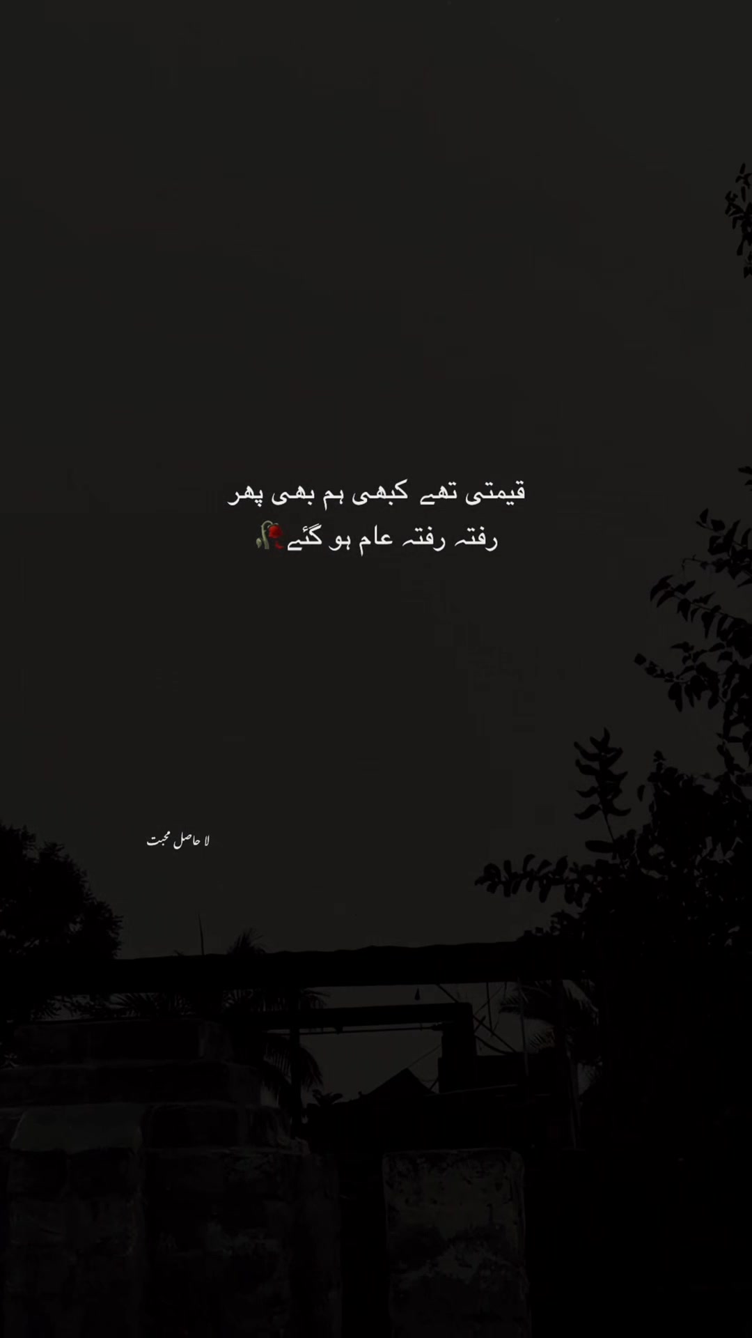 @لا حاصل محبت💔