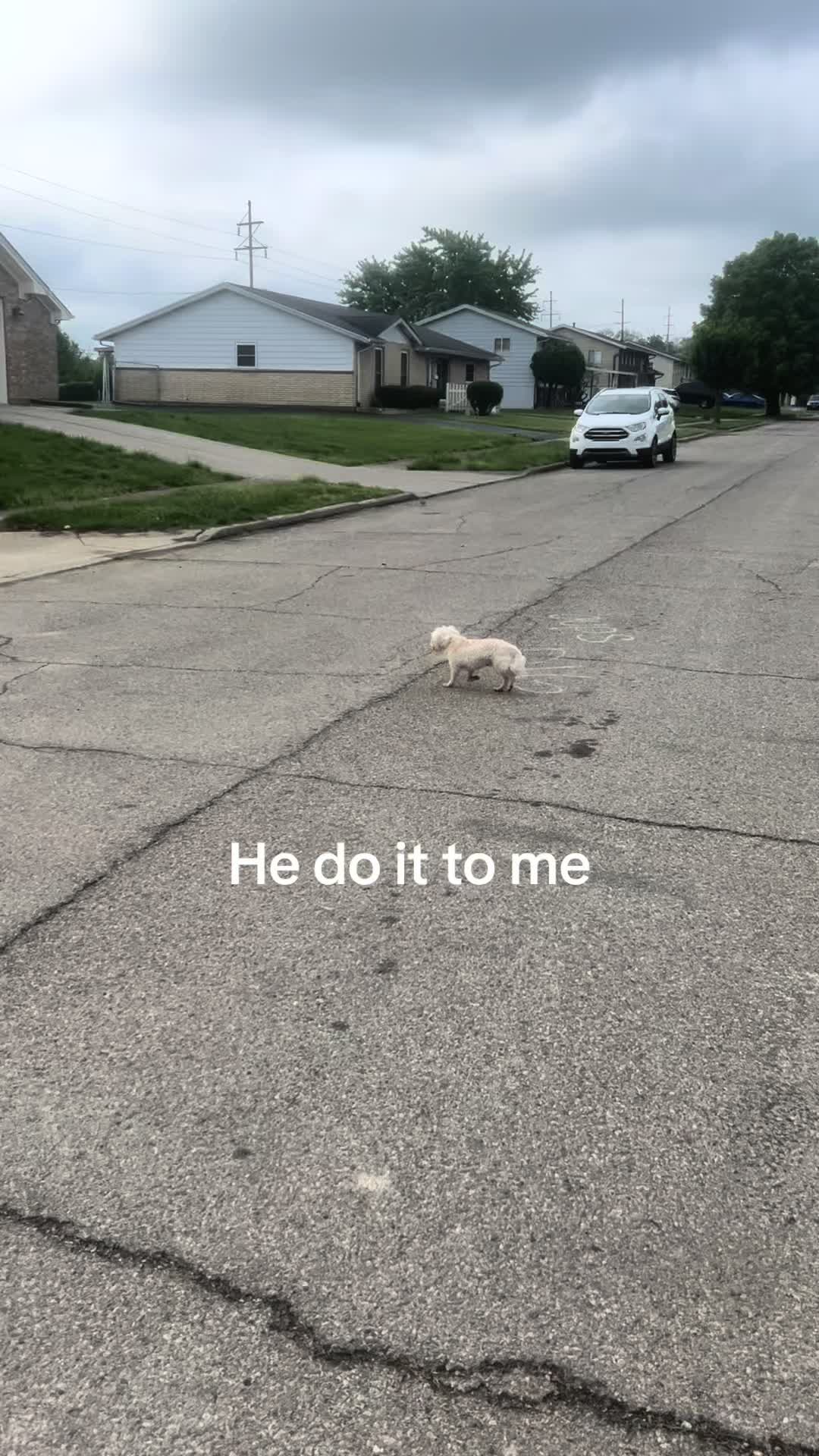 @streamerjmo