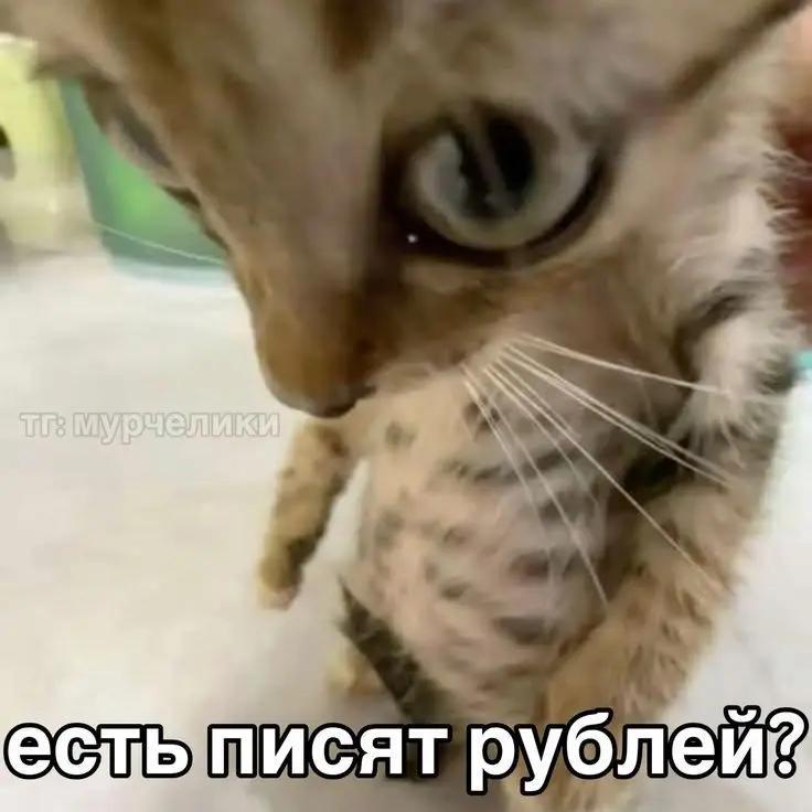 @𝐀𝐑𝐋𝐈𝐍 𝐂𝐎𝐒𝐏𝐋𝐀𝐘