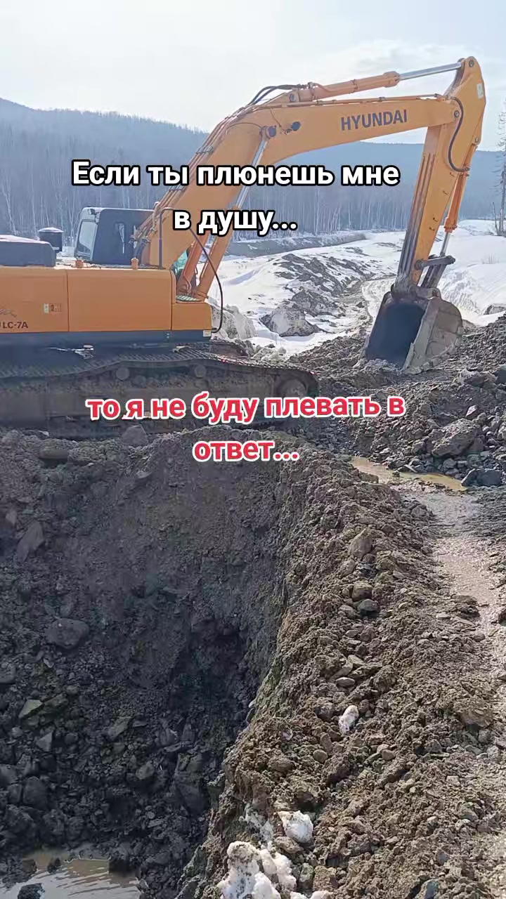 @Мой котик